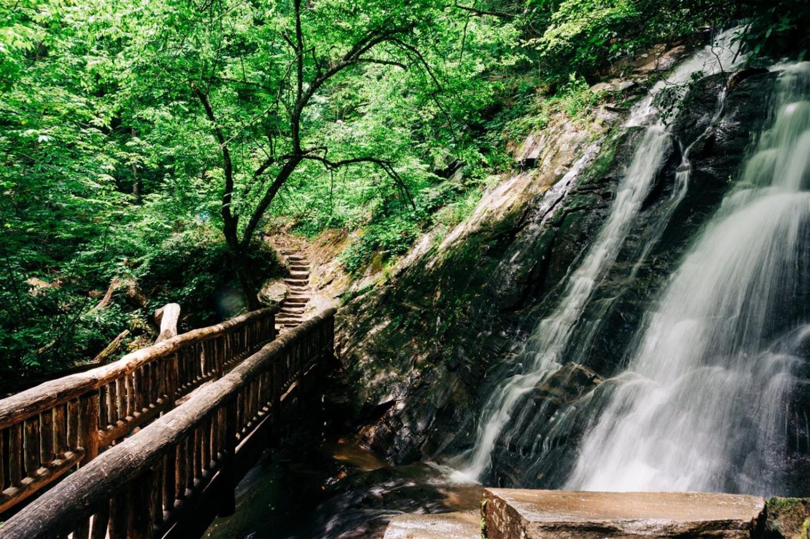 Hidden Star Hideaway-Blackberry Farm-Smoky Mtn Nat Park-Hot Tub- Fire Pit- Fenced Yard- Pet Friendly Walland Zewnętrze zdjęcie